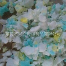 5亿年前化石揭秘！蜘蛛、蝎子的钳子终于找到演化源头