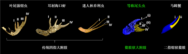 小米汽车：澎程N90 Max探索版电动升降顶舱 国内SUV唯一原生！
