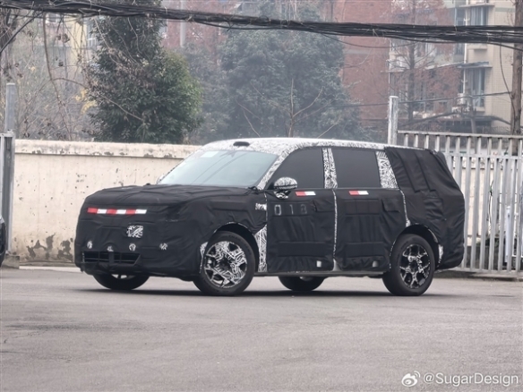 岚图卢放：十五五期间岚图要世界小有名气 让更多人看到东方美